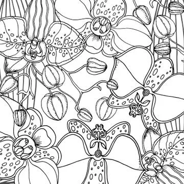 Doodle floral background in vector with doodles black and white coloring page Stock Illustration
