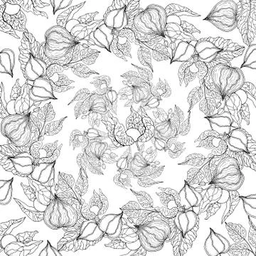 Doodle floral background in vector with doodles black and white coloring page Stock Illustration