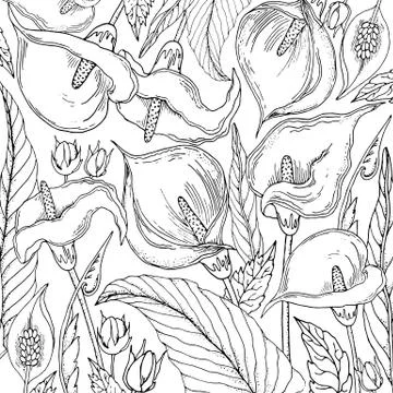 Doodle floral background in vector with doodles black and white coloring page Stock Illustration