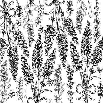 Doodle floral background in vector with doodles black and white coloring page Stock Illustration