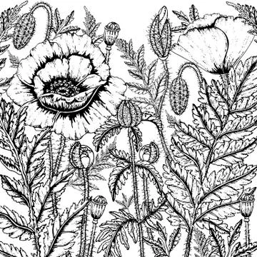 Doodle floral background in vector with doodles black and white coloring page Stock Illustration