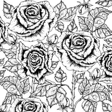 Doodle floral background in vector with doodles black and white coloring page Stock Illustration