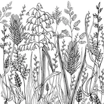 Doodle floral background in vector with doodles black and white coloring page Stock Illustration