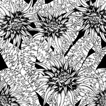 Doodle floral background in vector with doodles black and white coloring page Stock Illustration