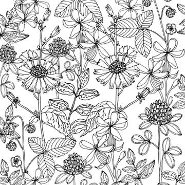 Doodle floral background in vector with doodles black and white coloring page Stock Illustration