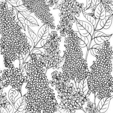 Doodle floral background in vector with doodles black and white coloring page Stock Illustration