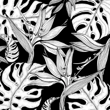 Doodle floral background in vector with doodles black and white coloring page of Stock Illustration