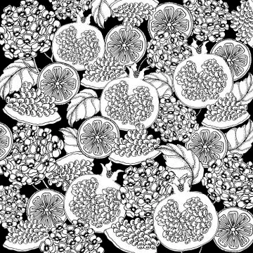 Doodle floral background in vector with doodles black and white coloring page of Stock Illustration