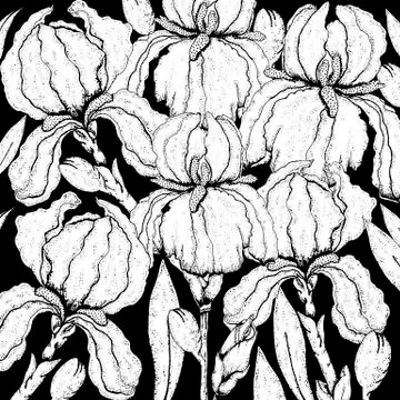 Doodle floral background in vector with doodles black and white coloring page of Stock Illustration
