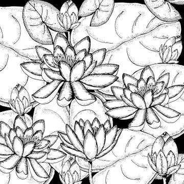 Doodle floral background in vector with doodles black and white coloring page of Stock Illustration