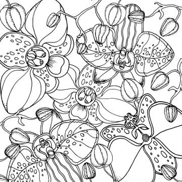 Doodle floral background in vector with doodles black and white coloring page Stock Illustration