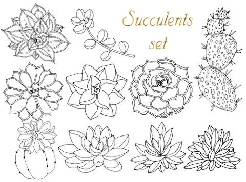 Doodle floral background in vector with doodles black and white coloring page of Stock Illustration
