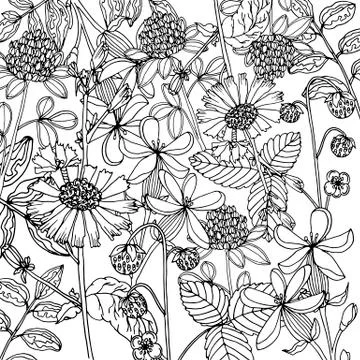 Doodle floral background in vector with doodles black and white coloring page Stock Illustration