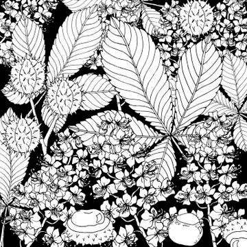 Doodle floral chestnut background in vector with doodles black and white Stock Illustration