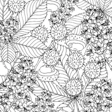 Doodle floral chestnut background in vector with doodles black and white Stock Illustration