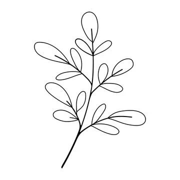Doodle floral graphic element. Hand sketched vector vintage element Stock Illustration