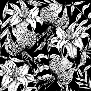 Doodle floral lily background in vector with doodles black and white coloring Stock Illustration