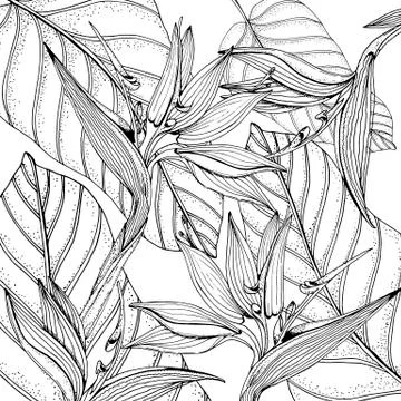 Doodle floral tropical background in vector with doodles black and white Stock Illustration