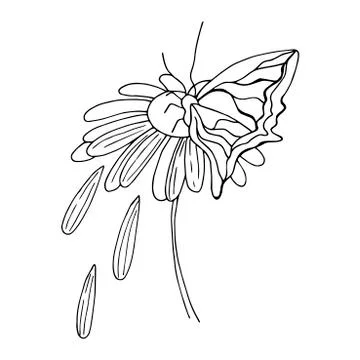 Doodle flower drawing Stock Illustration