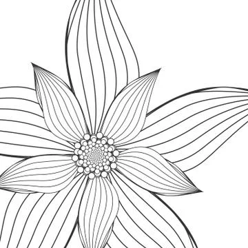 Doodle Flower Isolated on White Background - Vector Illustration Stock Illustration