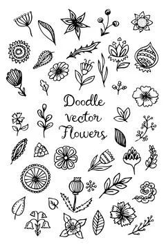 Doodle flower set. Hand drawn line sketch floral collection Illustrazione stock