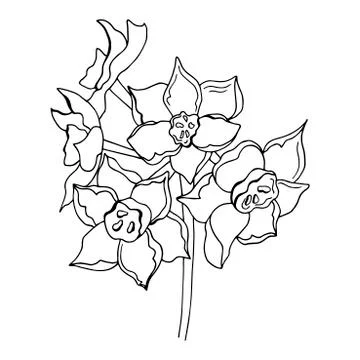 Doodle flower sketch Illustrazione stock