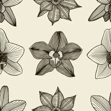 Doodle flowers seamless pattern イラスト素材