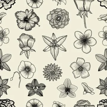 Doodle flowers seamless pattern Illustrazione stock
