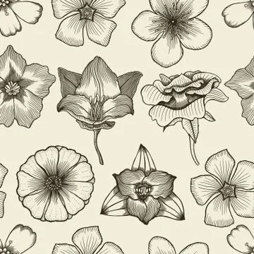 Doodle flowers seamless pattern Stock Illustration