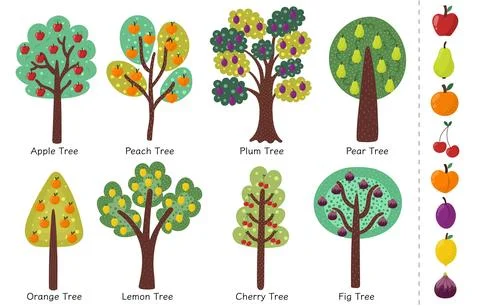 Doodle fruit trees collection. Different trees set with apple, orange and other Illustrazione stock
