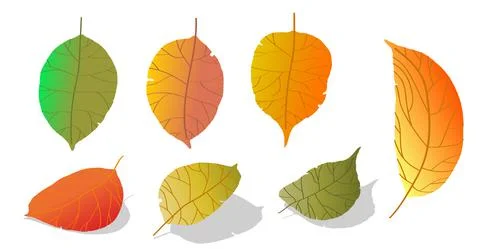 Doodle gradient apple tree leaves isolated on white background. Autumn fallen Stock Illustration