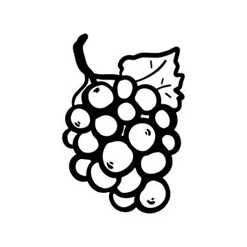 Doodle grape illustration isolated on a white background. Simple black outl.. Stock Illustration