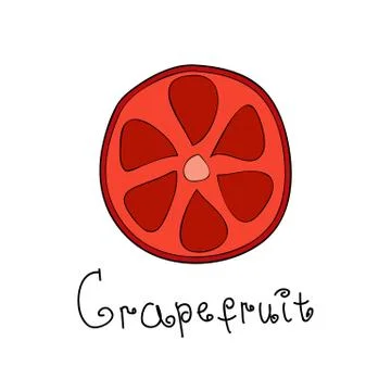 Doodle grapefruit slice Stock Illustration