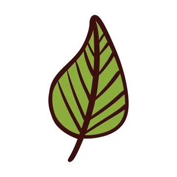 Doodle hand drawn leaf. Ecology concept. Stock Illustration