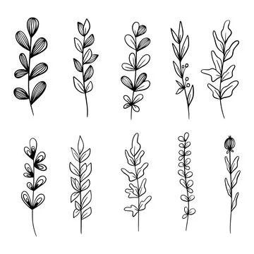 Doodle hand drawn vector leaves and branches. Collection of tree Floral, plant Stock Illustration