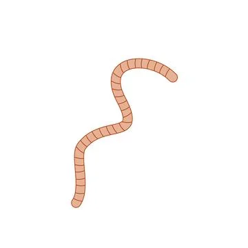 Doodle icon. worm. vector illustration Stock Illustration