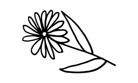 Doodle illustration of flower Stock Illustration