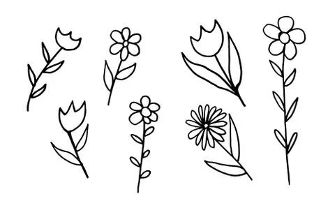 Doodle illustration of flower Stock Illustration