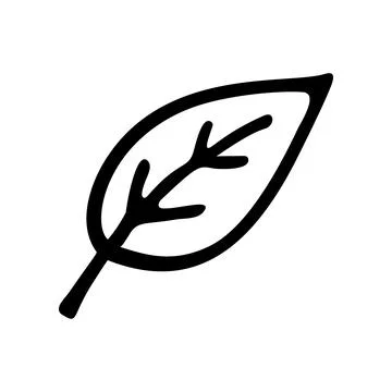 Doodle leaf. Hand drawn vector illustration Stock Illustration