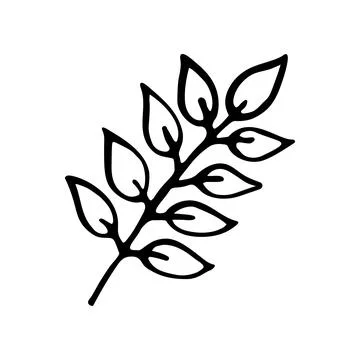 Doodle leaf. Hand drawn vector illustration Stock Illustration