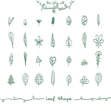 Doodle Leaf Shape Outline Stock Illustration
