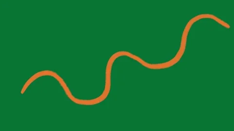 Doodle Line Animation Green Screen Stock-Footage 323469275