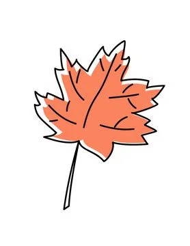 Doodle line drawing vector simple maple autumn leaf. Fall hand drawn botanical Stock Illustration