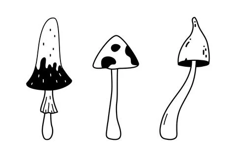 Doodle long stem mushrooms collection. Hand drawn sketch linear vector illust Stock Illustration