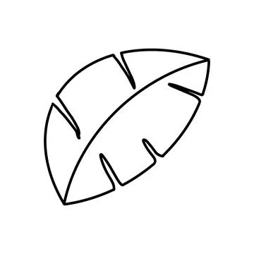 Doodle monstera leaf vector icon drawing. Stock Illustration