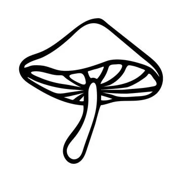 Doodle mushroom. Hand-drawn vector illustration. Stock Illustration
