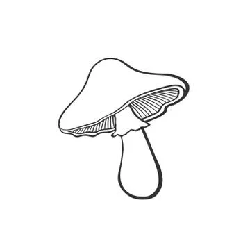 Doodle of mushroom Stock Illustration