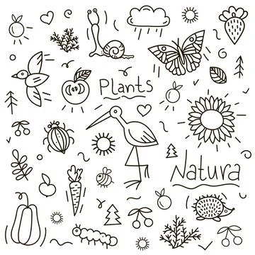 Doodle nature vector set of outlined animals, birds and insects. Ilustración de archivo