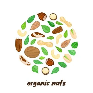 Doodle nuts in circle. Stock Illustration