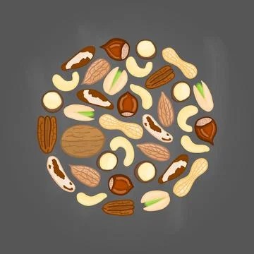 Doodle nuts in circle. Stock Illustration